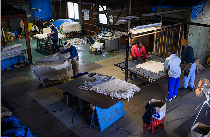 仕上げ場。ネット張り乾燥などもここで行われる。